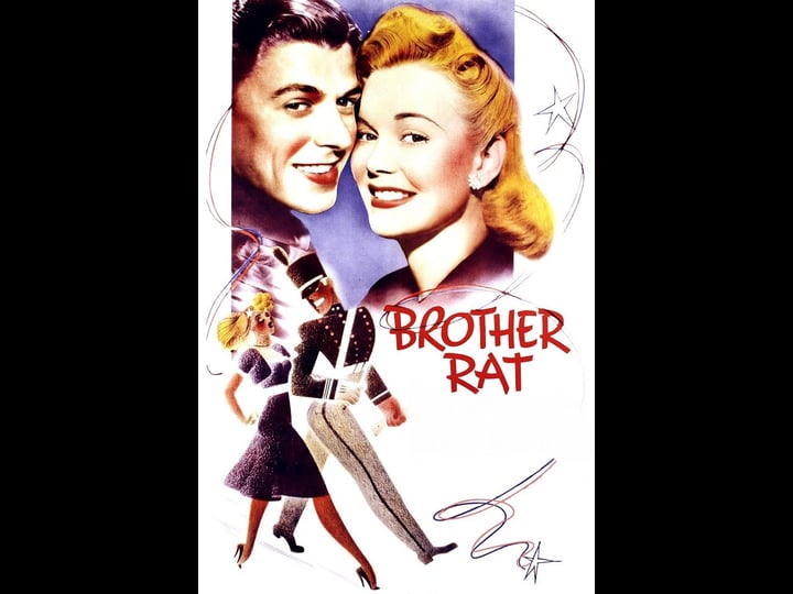 brother-rat-977474-1