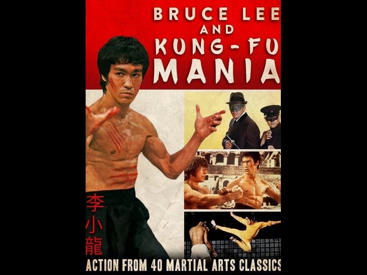 bruce-lee-and-kung-fu-mania-tt0268202-1
