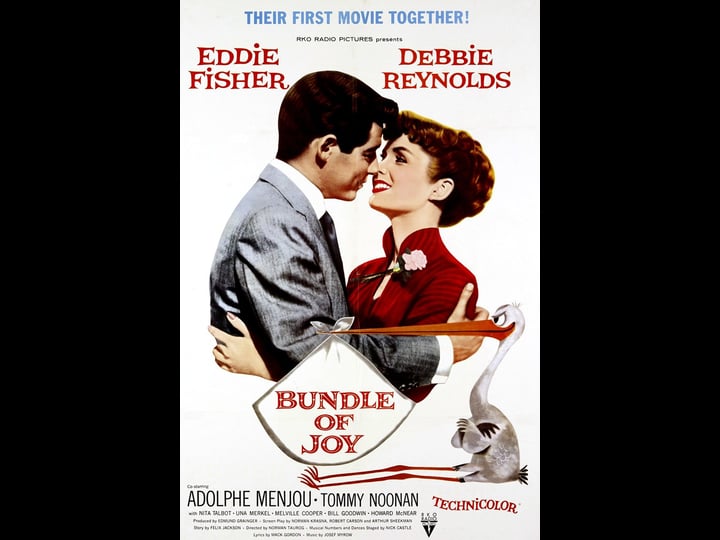 bundle-of-joy-tt0049034-1