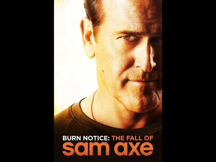 burn-notice-the-fall-of-sam-axe-tt1697851-1