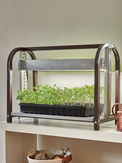 burpee-exclusive-glow-n-grow-tabletop-grow-light-1