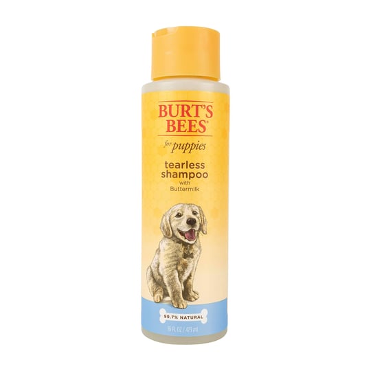 burts-bees-shampoo-with-buttermilk-tearless-for-puppies-16-fl-oz-1