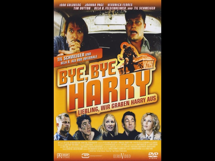 bye-bye-harry-tt0448076-1