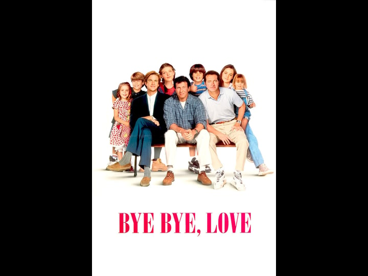 bye-bye-love-tt0112606-1
