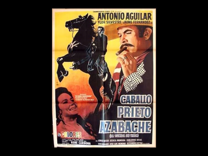 caballo-prieto-azabache-4465214-1