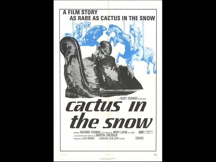 cactus-in-the-snow-1748720-1