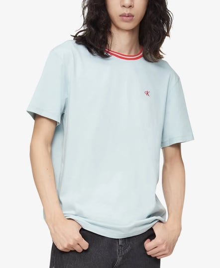 calvin-klein-mens-logo-t-shirt-dove-blue-size-2xl-1