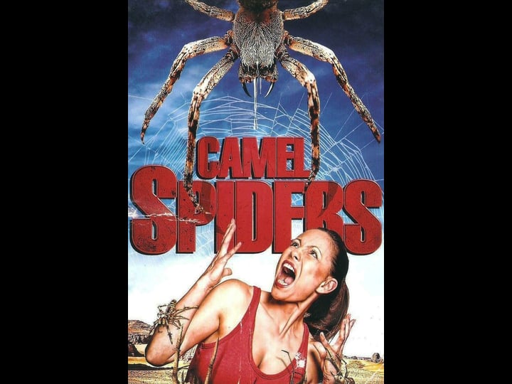 camel-spiders-tt1618372-1