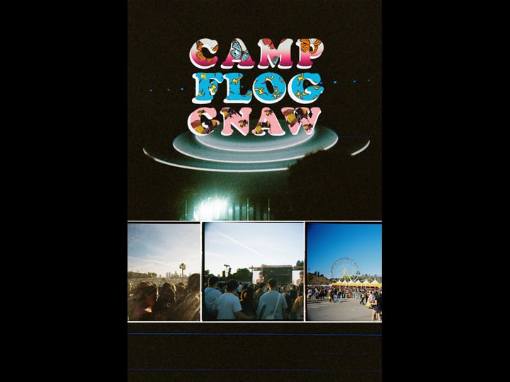 camp-flog-gnaw-4341963-1