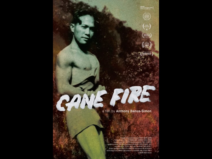 cane-fire-tt9253606-1