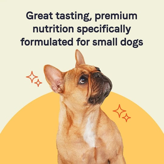 canidae-pure-petite-small-breed-salmon-dry-dog-food-4-lb-1
