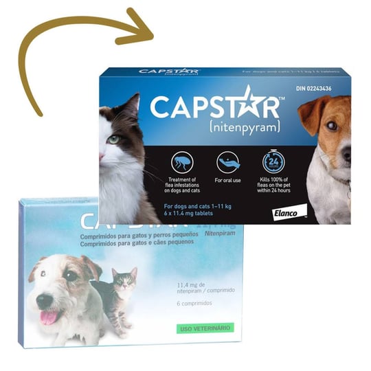 capstar-flea-treatments-tablets-for-cats-and-small-dogs-1