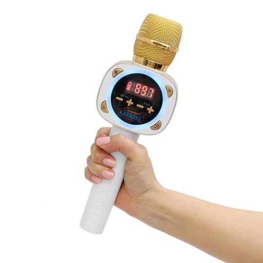 carpool-karaoke-the-mic-singing-machine-1