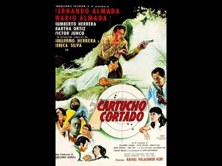cartucho-cortado-4469424-1