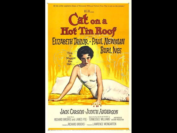 cat-on-a-hot-tin-roof-tt0051459-1