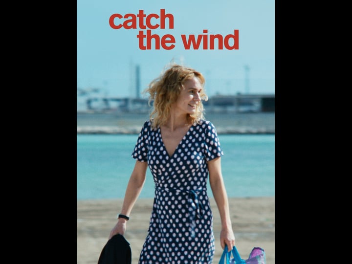 catch-the-wind-tt5804946-1