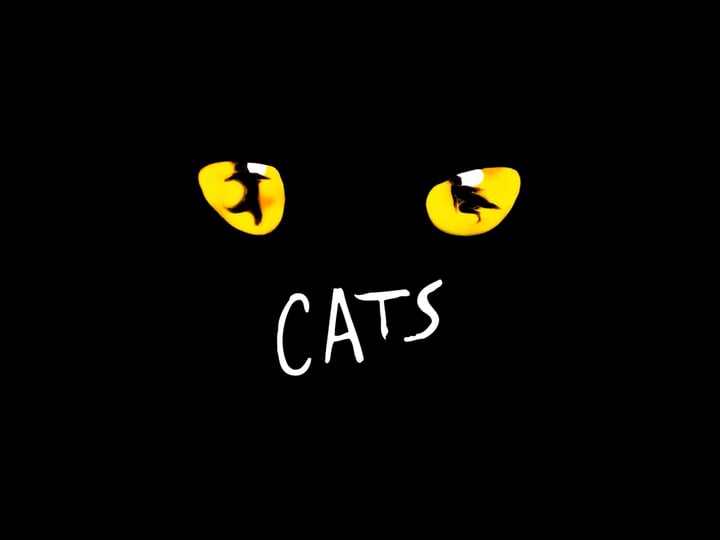 cats-1483782-1