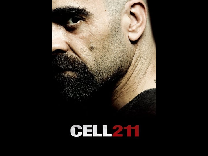 cell-211-tt1242422-1