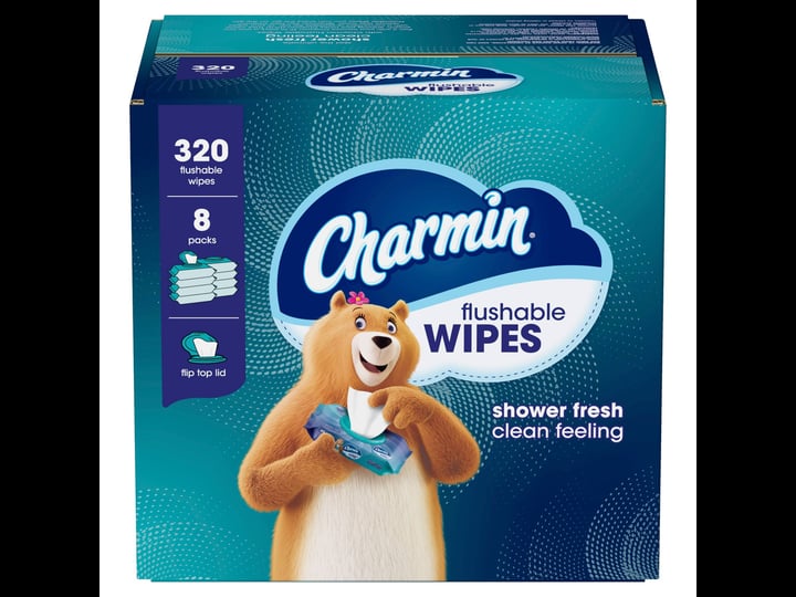 charmin-wipes-flushable-8-40-ct-packs-320-wipes-1