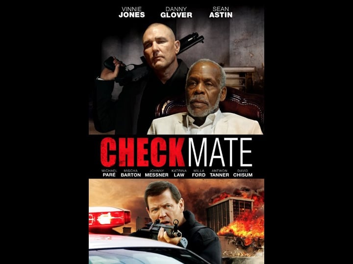checkmate-772815-1