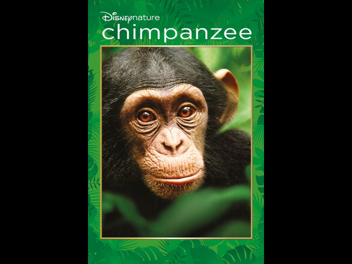 chimpanzee-tt1222815-1