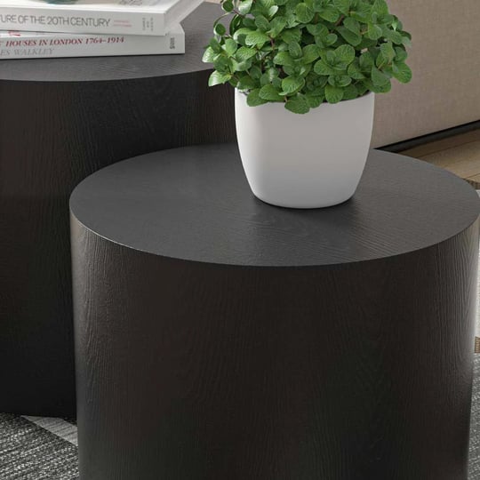 chrissette-nesting-coffee-table-set-of-2-brayden-studio-color-matte-black-1