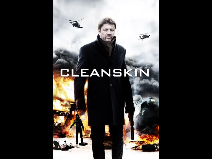 cleanskin-1290042-1