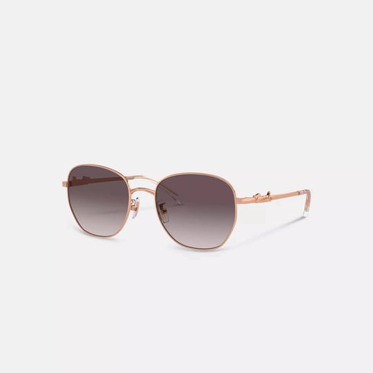coach-outlet-coach-script-round-sunglasses-womens-sunglasses-black-1