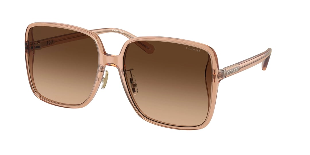 coach-transparent-brown-61mm-sunglasses-1