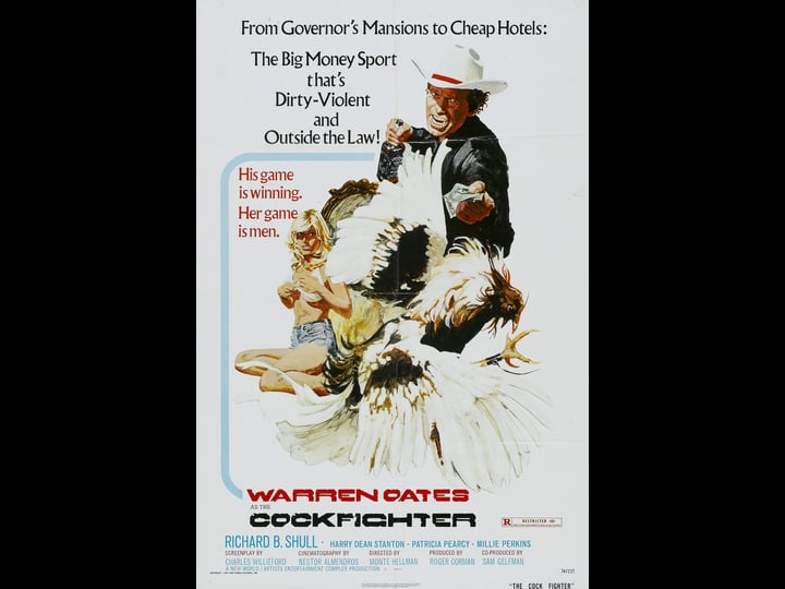 cockfighter-tt0071338-1