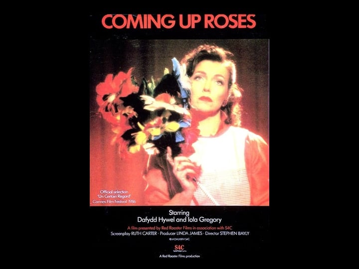 coming-up-roses-1568295-1