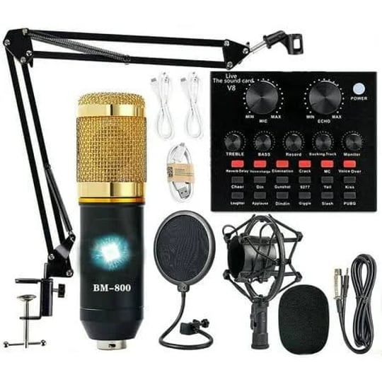 Choose the Perfect Microphone for Your Singing: Top 8 Recommendations for Faultless Performances