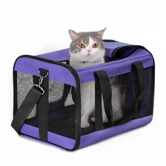 conlun-airline-approved-pet-carrier-foldablesoft-sided-safety-leashcomfort-for-traveling-with-small--1