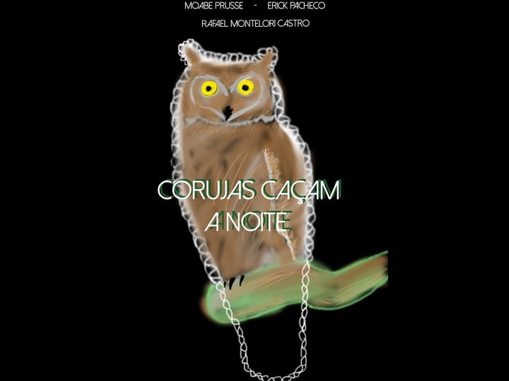 corujas-ca-am-a-noite-4322486-1