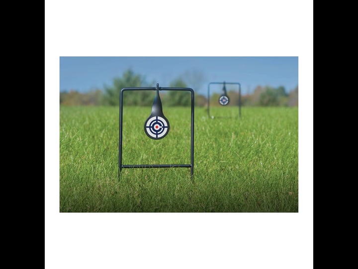 crosman-dual-spinning-targets-2-pack-1