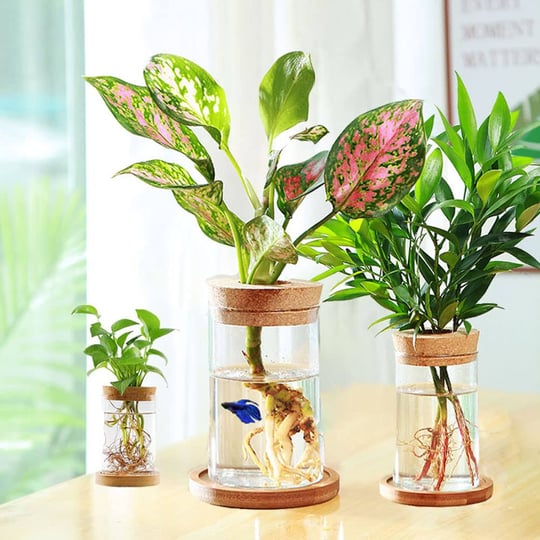 cusnestal-glass-planter-hydroponic-plant-vase-propagation-station-for-indoor-plants-betta-fish-bowl--1
