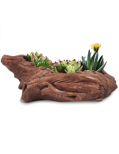 dahlia-driftwood-stump-handmade-concrete-succulent-planter-plant-pot-flower-pot-bonsai-1