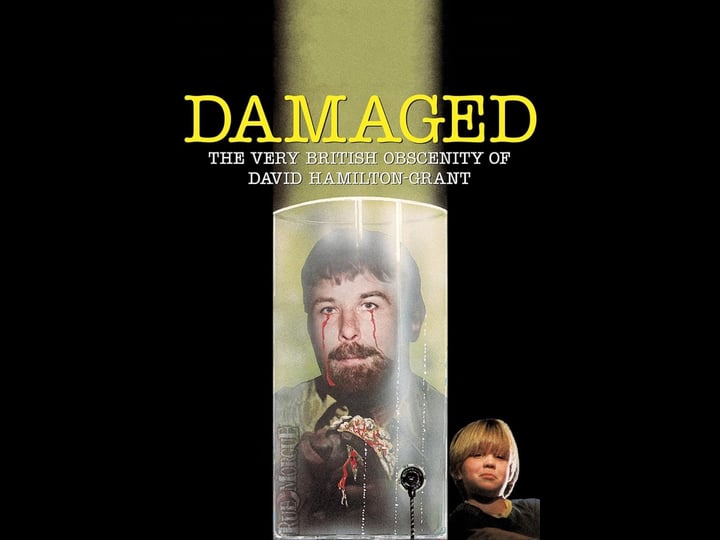 damaged-4490013-1