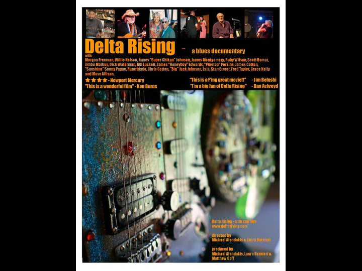 delta-rising-a-blues-documentary-tt2111290-1