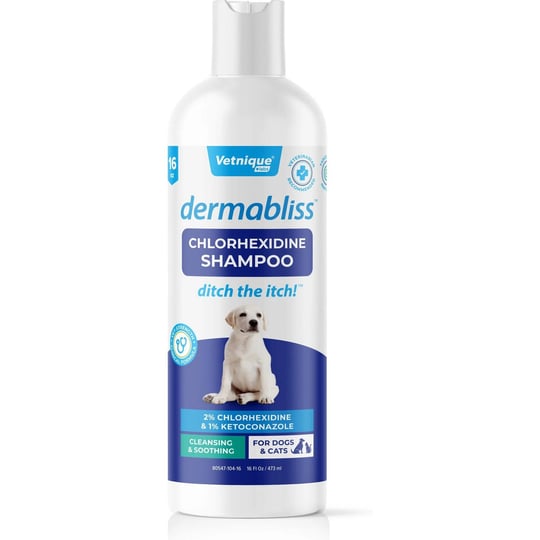 dermabliss-chlorhexidine-shampoo-16-oz-bottle-for-dogs-1