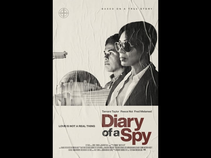 diary-of-a-spy-4373243-1
