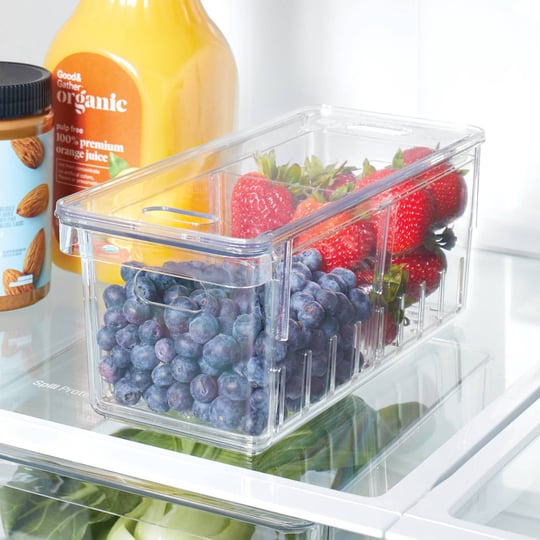 divided-berry-bin-with-lid-clear-brightroom-1