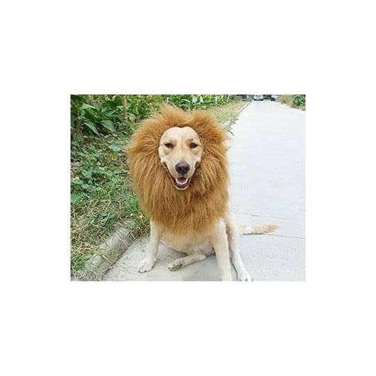 dog-lion-mane-wig-light-brown-adjustable-comfortable-funny-wig-with-ears-for-dog-costume-pet-fancy-h-1