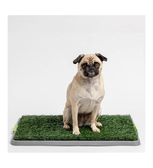 dog-potty-patch-green-1
