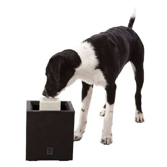 dogit-al-fresco-dog-fountain-1