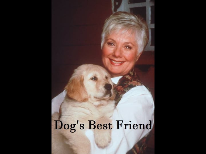 dogs-best-friend-4306004-1