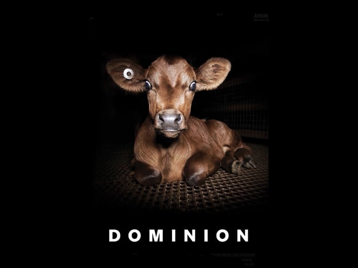 dominion-tt5773402-1