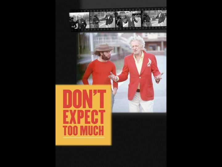 dont-expect-too-much-tt2043829-1