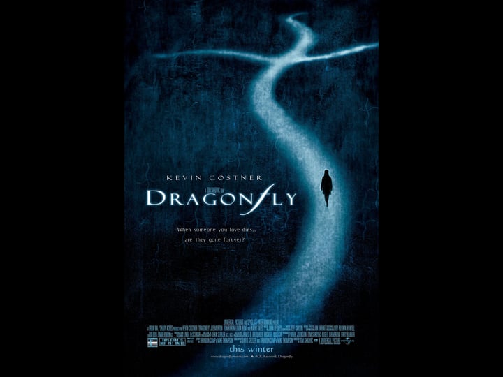 dragonfly-91714-1