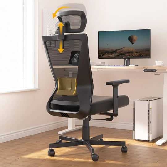 dripex-ergonomic-office-chair-high-back-desk-chair-computer-mesh-chair-with-lumbar-support-adjustabl-1